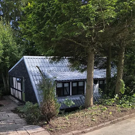 Eifel 3 Holiday home