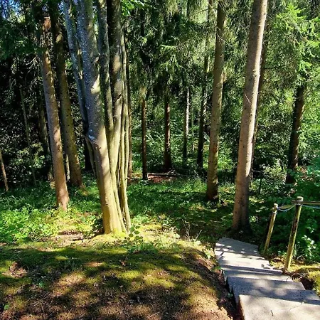 Eifel 3 Holiday home Gerolstein