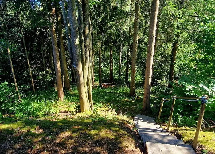 Eifel 3 Vakantiehuis Gerolstein